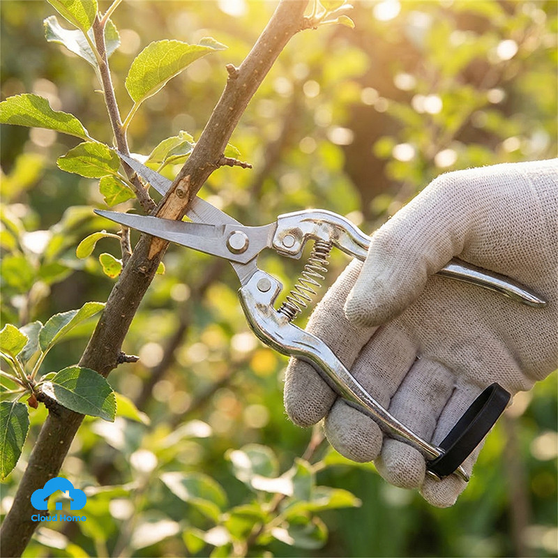 Kéo cắt tỉa cành bằng thép không gỉ 3Cr13, dụng cụ thu hoạch, làm vườn, ghép cây ăn quả.