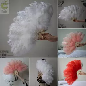 Quạt lông cầm tay ROLY, Quạt gấp 12 xương đà điểu màu đỏ lớn, Đạo cụ đường băng 30 * 52cm 35 * 60cm Hiệu suất quạt lông thủ công