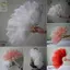 Quạt lông cầm tay ROLY, Quạt gấp 12 xương đà điểu màu đỏ lớn, Đạo cụ đường băng 30 * 52cm 35 * 60cm Hiệu suất quạt lông thủ công