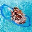 Skimmer bể bơi, Lá nhẹ miệng rộng cho bể bơi, Phụ kiện bể bơi lưới mịn dung tích lớn di động