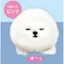 Hàng có sẵn Câu lạc bộ đậu phộng Nhật Bản Viên nang Đồ chơi Furry Bichon Doll Palm Búp bê dễ thương M4TD