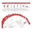 Thẻ Tập Luyện 36 Miếng Thẻ Di Động Độ Nét Cao Tăng Cường Sức Mạnh Hình Ảnh Tập Luyện Cho Nữ Người Mới Bắt Đầu Nâng Cao jiwvn
