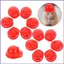 Đồ Chơi Xây Dựng Mũ Cứng 10 Chiếc Trẻ Em Mũ Cứng Mini Mũ Bảo Hiểm An Toàn Cho Thú Cưng Mini Mũ Bảo Hiểm An Toàn Cho Thú Cưng Động Vật Nhỏ mueadsyvn
