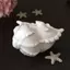 Khuôn Handmade Silicon Phong Cách Vỏ Biển Cho Hoạt Động Gia Đình và Trang Trí