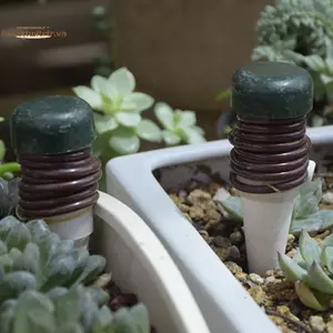 TRTR Máy tưới nước tự tưới nước Hệ thống tưới nhỏ giọt Đầu dò tưới nước tự động Hộ gia đình Thiết bị tưới cây trồng trong nhà VN