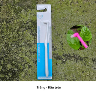 Bàn chải niềng răng, bàn chải đầu nhỏ, bàn chải mắc cài, chải răng hàm, kẽ răng vệ sinh răng miệng răng niềng