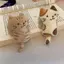Túi đựng mèo HFTOY Charm Mini Mèo con Búp bê sang trọng Trang trí hoạt hình Móc khóa mềm cho bé gái Ví Bapa Quà tặng trang trí trường học ~