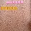 Pink Bean Fusion Bean Túi Đen Trắng Da Tone Đóng Chai 2.6mm Little Dance coco Mi Nest mard Color No. 4.24