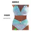 Phong Cách Mới Gradient Da Báo In Nữ Gợi Cảm Đi Biển bikini Tether Ngoại Thương Chia Đồ Bơi DF