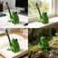 MỘT Playful 3D In Hình Động Vật Thu Nhỏ Bút Giá Treo Bút Trang Trí Bàn Làm Việc Vui Nhộn Cho Không Gian Làm Việc Hoặc Nhà Bookca