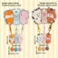 YUUKII 3 Bộ Móc Khóa Chụp Từ Tính, Móc Khóa Động Vật Hoạt Hình Mini, Charm Nhựa Từ Móc Khóa Bộ Quà Tặng
