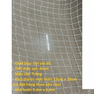 Lưới chắn container, lưới bảo vệ hàng hóa, chắn trước cửa thùng xe tải, lưới chùm hàng (2.4m x 2.6m)