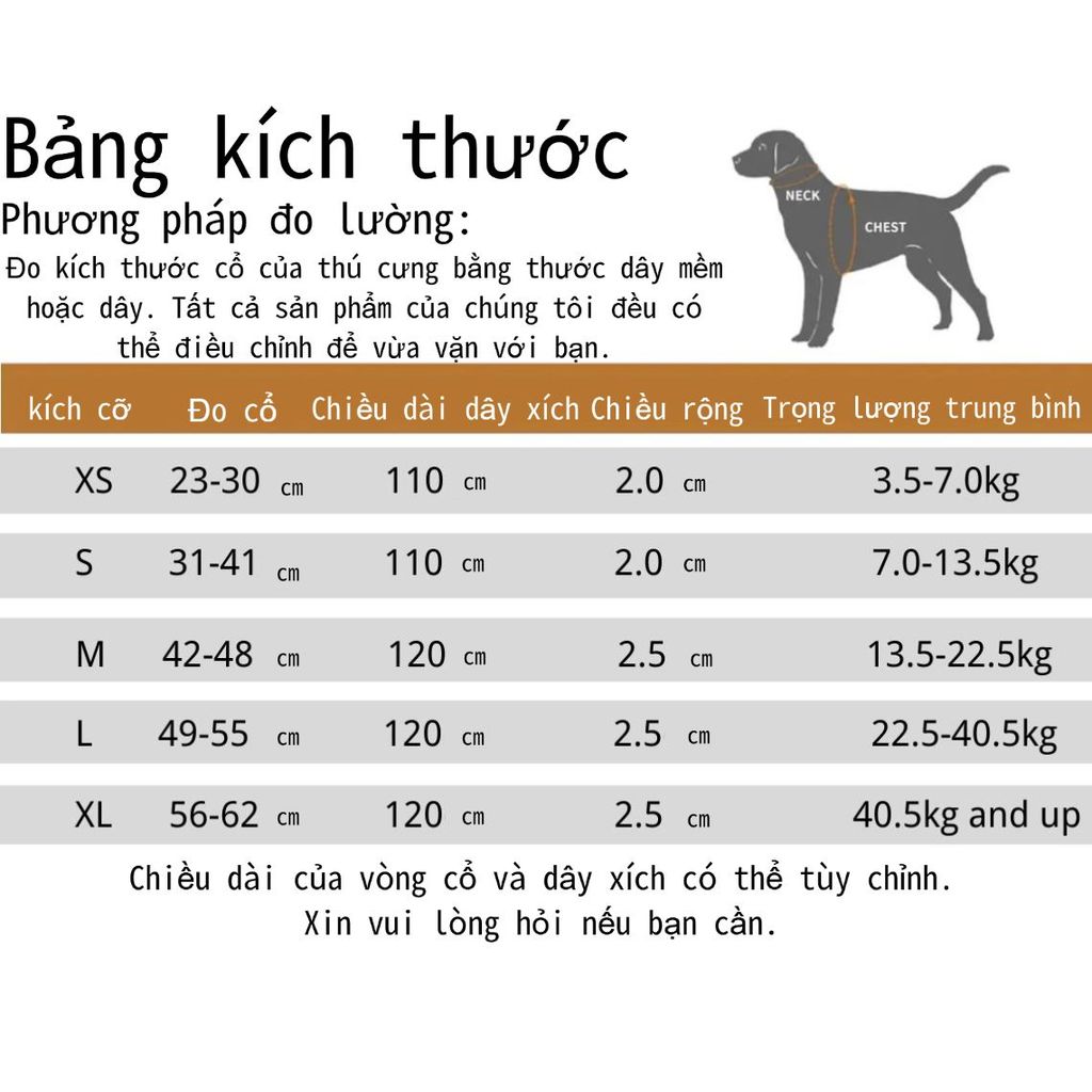 Vòng cổ nhung chó con khắc tên, thẻ tên, bộ cổ và dây xích