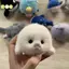 Dễ Thương Cho Bé Cói Búp Bê Sang Trọng Đồ Chơi Mặt Dây Chuyền Mô Phỏng Đại Dương Đồ Chơi Lưu Niệm Cói Mặt Dây Chuyền Quà Tặng Túi Búp Bê Mặt Dây Chuyền Đẹp