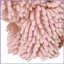Khăn Tay Treo Tường Thấm Hút Nước Động Vật Dễ Thương Chủ Đề Nhà Bếp Khăn Tay Hình Chó Cho Gia Đình Khách Sạn Ký Túc Xá mueadsyvn