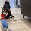 Đồ chơi cho chó Đồ chơi cho chó lớn Tug-of-War Sucker Tiêu thụ vật lý Sức mạnh thể chất trêu chọc chó Dính răng hàm Chống cắn Tự sướng
