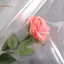 TRTR 44 * 44CM 50 Miếng Chất Liệu Dán Hoa Cellophane Trong Suốt Lót Với Màng Nhựa Chống Thấm Nước VN