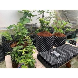 Bầu ươm cây cao 20cm dài 5m, 10m, 15m, 20m. Bầu ươm V6 dùng để ươm cây.(tặng kèm ốc vít) Quây để trồng cây.