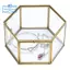 Hộp đựng đồ trang sức cổ điển bằng kính hình học vàng Hộp sắp xếp trưng bày trang sức Hộp trang trí nhà để lưu trữ (Lớn)