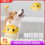 【Ready Stock】 Jumping Fish Dog Toy Food Dropping Ball Self-Hi Relieving Stuffy Molar Long Lasting Vocal Ball Big and Small Dogs Pet Supplies ZsgD