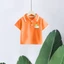 Áo Sơ Mi Polo Trẻ Em Clover Puppy In Hình Tay Ngắn Thường Ngày Hàng Ngày Mặc Cho Trẻ Em