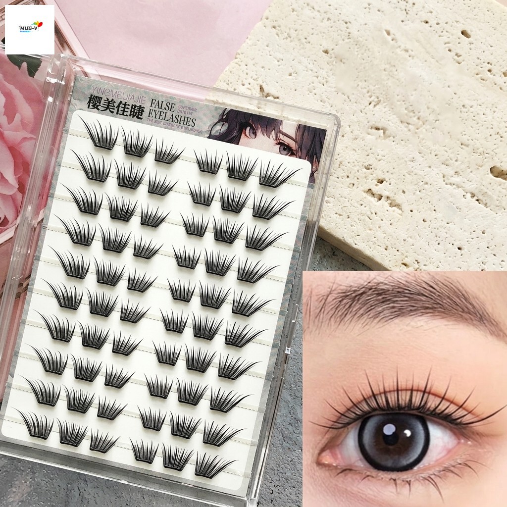 Bông tuyết Lông mi giả cá nhân Tự nhiên Airy Look C Curl Chiều dài hỗn hợp