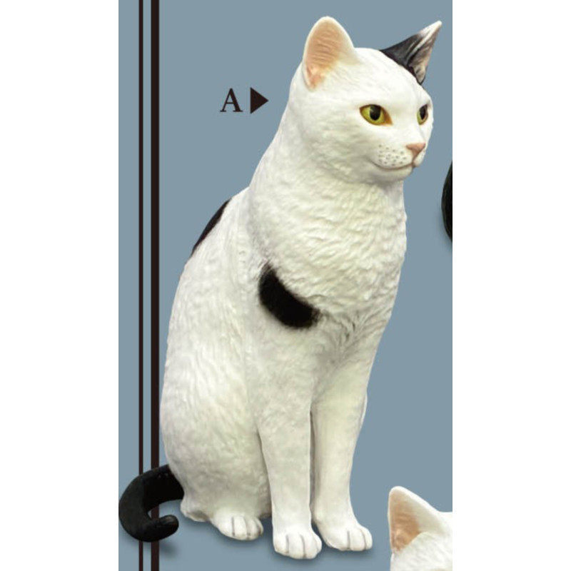 [BTF] Hàng có sẵn Nhật Bản Kitan Gashapon Moriguchi Shu 's Cat 3 Mô hình động vật Trang trí máy tính để bàn N4D6