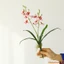 1Pc Thân hoa lan cảm ứng thực tế 2 cánh Nhân tạo Oncidium Hoa Picks Giả Cymbidium cao cấp