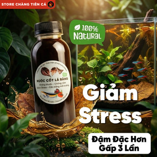 Nước Cốt Lá Bàng Đậm Đặc Gấp 3 Lần Lọc Lưới Nano Siêu Trong Dưỡng Cá Giảm Stress