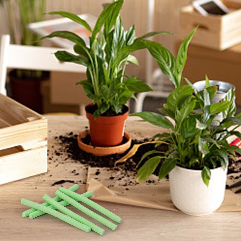 18 chiếc Que phân bón hoa Thanh dinh dưỡng giải phóng chậm cho cây trồng trong chậu