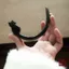 WHX-Hairpin {Xuanyue Cat} Kẹp tóc chạm khắc sừng thật Retro Trung Quốc Niche Thiết kế độc đáo Kẹp tóc