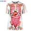 Bộ xương nội tạng 3D - áo sơ mi ngộ nghĩnh cho mùa hè