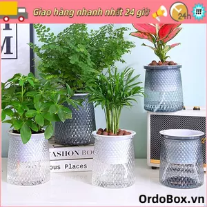 Chậu hoa ORDOBOX, Chậu cây nhựa tự tưới cây, Đồ dùng làm vườn Chậu trồng thủy canh mực nước có thể nhìn thấy