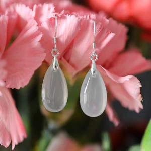 WHX-S925 Bông Tai Bạc Mã Não Bông Tai Đá Đơn Giản Phù Hợp Với Cổ Kẹp Tai Mới Trung Quốc Bông Tai