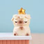 PAI Emotion Cat Collectibles Thiết kế mèo đáng yêu Màn hình máy tính Trang trí hàng đầu
