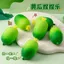 Mô Phỏng Cucumber Pinch Âm Nhạc Sáng Tạo Trái Cây Rau Lỗ Thông Hơi Bóng Văn Phòng Tricky Giải Nén Tiện Dụng Dụng Cụ Trẻ Em Đồ Chơi Nhỏ 5.8