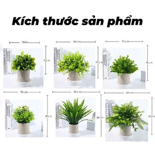 Cây trồng trong chậu nhân tạo Trang trí bàn Cây xanh giả Văn phòng tại nhà Phòng ngủ Ảnh Prop
