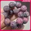 JASMINE Rễ Bồ Đề Tự Nhiên Đính Hạt Sáu Xương Trụ Phật Giáo Vòng Tay Nam Nữ Mân Côi May Mắn Tốt Lu Quyến Rũ Trang Sức JASMINE