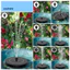 Linh hồn| 1 Bộ Tiềm năng DIY cho Vườn vui nhộn: Máy bơm đài phun nước năng lượng mặt trời này có thể được sử dụng trong nhiều dự án DIY để tạo ra một hệ sinh thái sôi động Biến nó thành vòi tắm chim