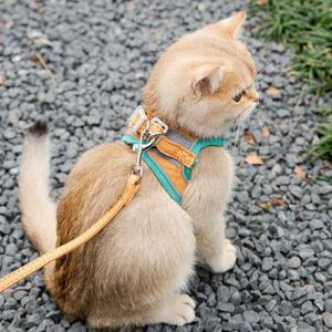 【Ready Stock】 Cat Pulling Rope Cute Vest Chest Back Anti Breaking Loose Kittens Velcro Safety Buckle Reflective Pet Cat Rope JOwi