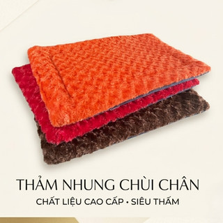 Thảm Chùi Chân Bằng Nhung Size Lớn Dùng Cho Phòng Ngủ, Phòng Khách