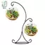 37CM Móc đôi kim loại chân đế để chai thủy tinh