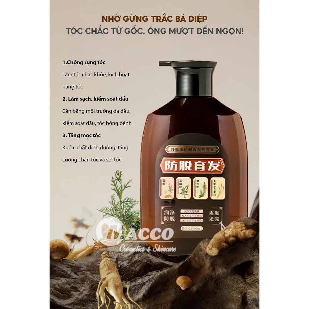 Dầu Gội Gừng Trắc Bá Diệp (500ml) Giảm Dầu Ngứa, Ngăn Rụng Tóc, Tăng Mọc Tóc