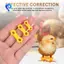 Dây buộc chân gia cầm, Niềng răng lồng gà, Niềng răng kẹp chân cho bé Chick Splay 12Psc