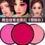 Bột trang điểm sân khấu chuyên nghiệp VN Blush, Hồng và Đỏ tươi, Thích hợp cho học sinh phim truyền hình và các dụng cụ trang điểm khác.
