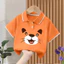Dễ Thương Hổ Sư Tử Động Vật Đồ Họa Tee Hoạt Hình In Hàng Đầu Quần Áo Hàng Ngày Cho Trẻ Em Mặc Đường Phố Hàng Ngày
