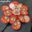 Khung Ảnh 1 Chiếc Ngoài Trời Hai Lớp Màu Cối Xay Gió Đồ Chơi Trẻ Em Nhiều Màu Sắc Gió Spinner Nhà Trang Trí Sân Vườn Công Viên Cảnh Quan Trang Trí VN