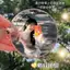 🚚【giao Hàng 24h】Gương Selfie HD cầm tay lồi, Gương trang điểm ảnh du lịch góc rộng để chụp ảnh Vlog & ngoài trời