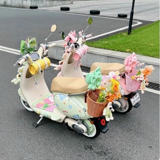 Yadea Hiện Đại Bloom Retro Giỏ Màu Xanh Lớn Xe Điện Trang Trí Phía Sau Cô Gái Dễ Thương Sửa Đổi Phụ Kiện N2L2