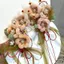 Giả Nhung Hoa Phong Cách Rừng Kẹp Tóc Phụ Kiện Tóc Kẹp Bên Kẹp Dễ Thương Phong Cách Nữ Tính Hanfu Ngọt Ruy Băng Bướm Siêu Cổ Tích Tóc